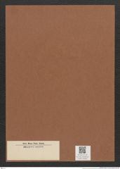 Diatomeae indet. Zeichnungen Sammlung Grunow Mappe 03281 (Herbarium_W_Grunow_drawings_Folder_03281)